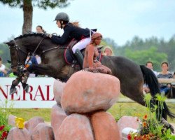jumper Peaceful de Kerpan (French Pony, 2003, from Uncle Duff)