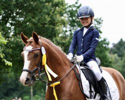 dressage horse Simply 14 (Pony without race description, 2007)