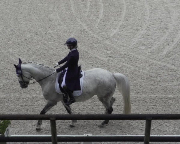 Reitturnier Cureglia 2024