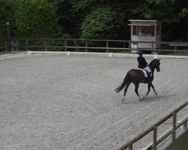 Reitturnier Cureglia 2024