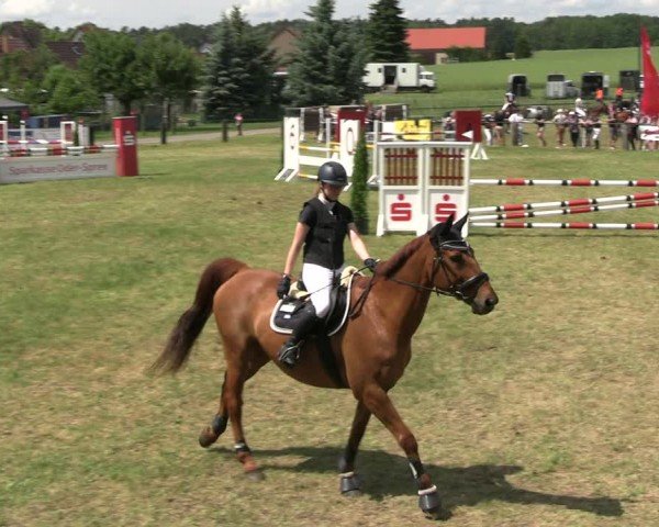 Reitturnier Buckow bei Beeskow (LOS) 2024
