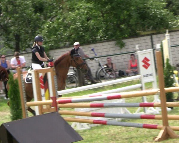 Reitturnier Buckow bei Beeskow (LOS) 2024