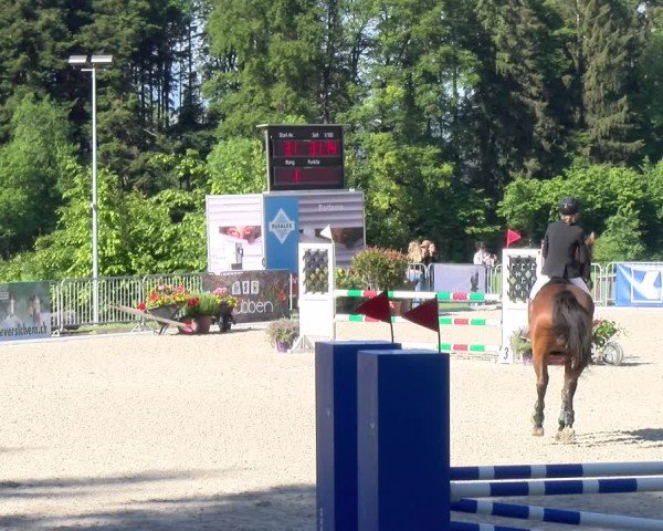 Reitturnier Meilen 2024
