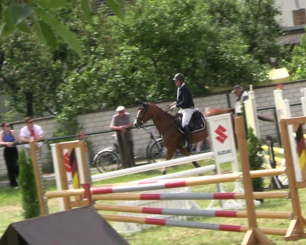 Reitturnier Buckow bei Beeskow (LOS) 2024