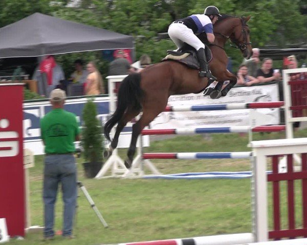 Reitturnier Buckow bei Beeskow (LOS) 2024