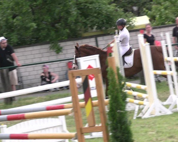 Reitturnier Buckow bei Beeskow (LOS) 2024