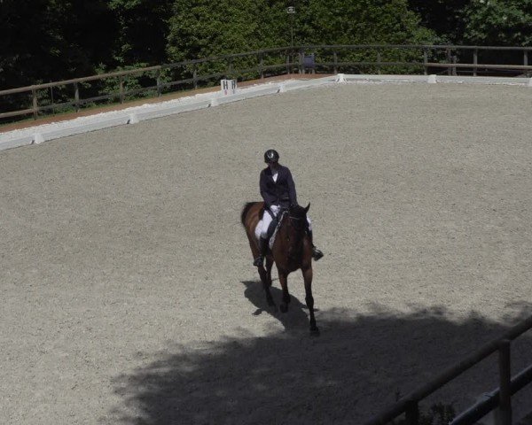 Reitturnier Cureglia 2024