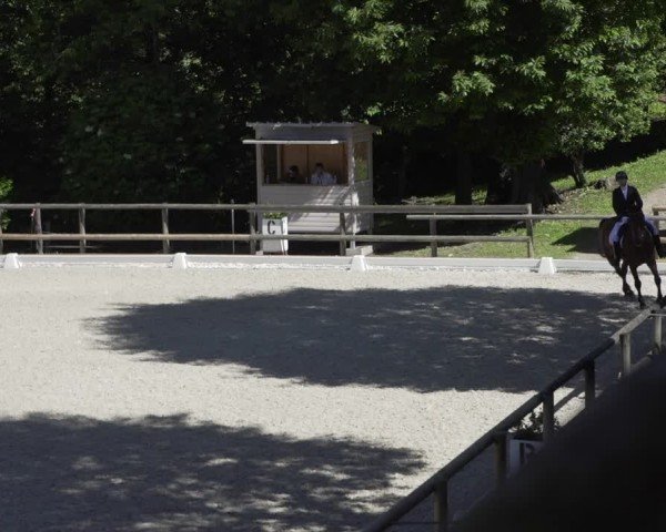 Reitturnier Cureglia 2024