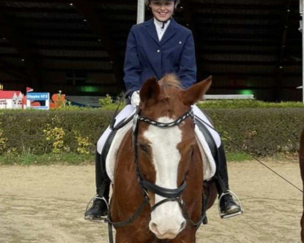 Ariane Hecker