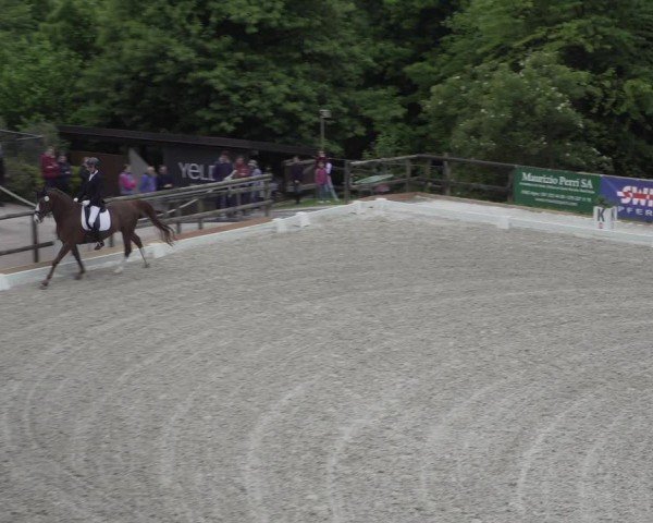 Reitturnier Cureglia 2024