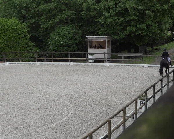 Reitturnier Cureglia 2024