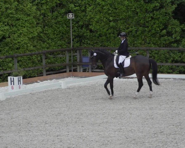 Reitturnier Cureglia 2024