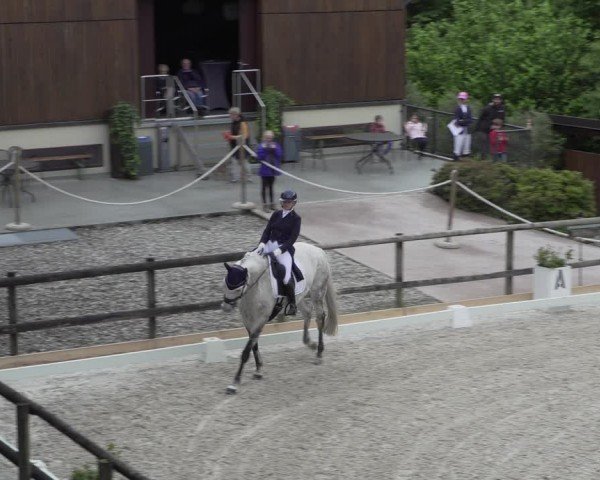 Reitturnier Cureglia 2024