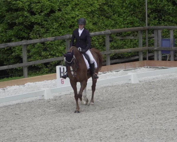 Reitturnier Cureglia 2024