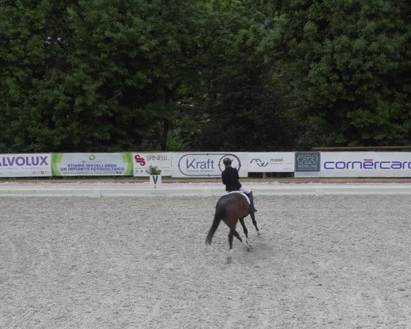 Reitturnier Cureglia 2024