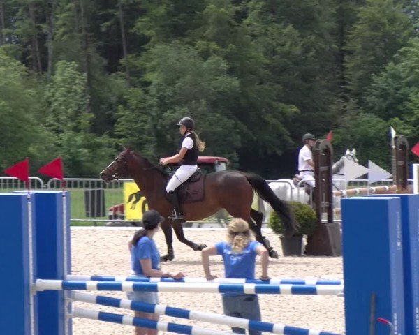 Reitturnier Meilen 2024