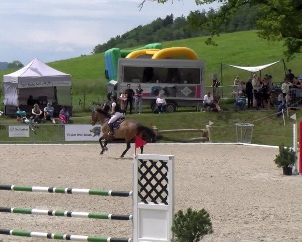 Reitturnier Meilen 2024