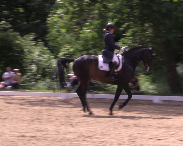 Reitturnier Königsborn 2024