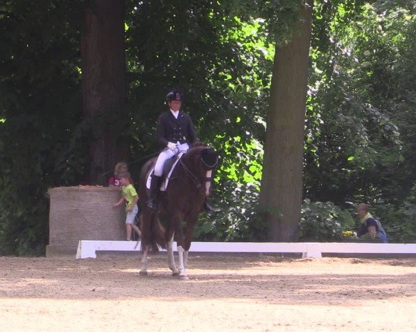 Reitturnier Königsborn 2024