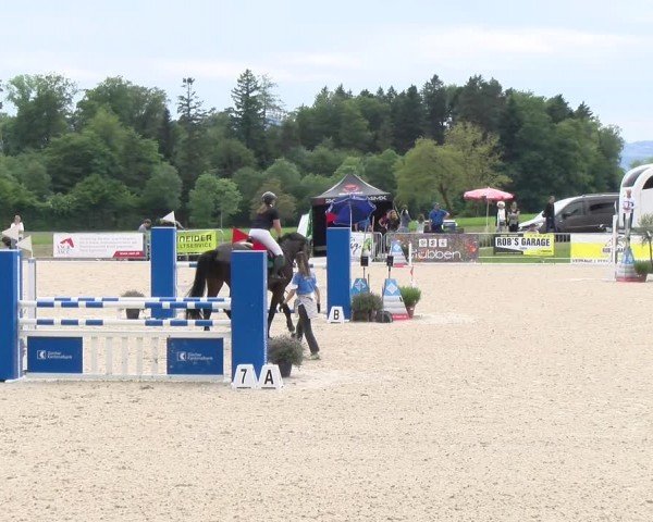 Reitturnier Meilen 2024