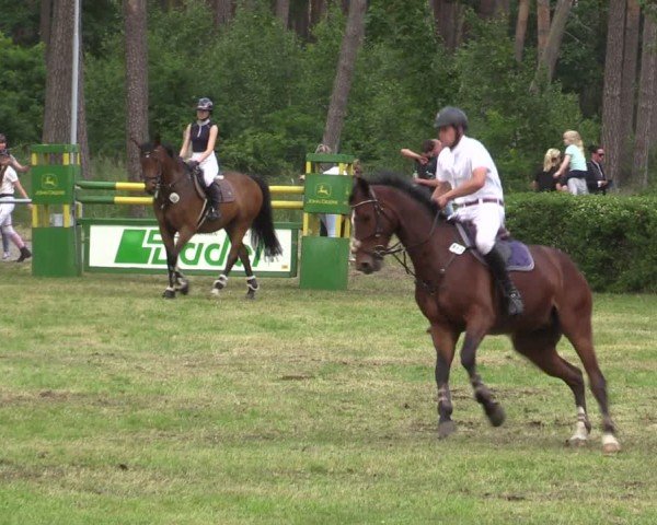Reitturnier Kakerbeck 2024
