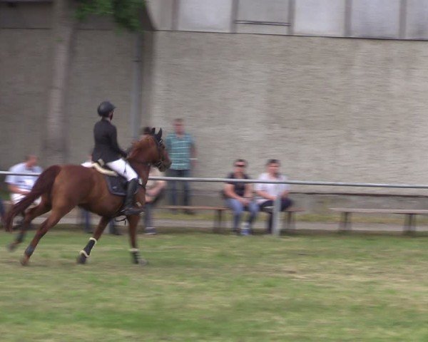 Reitturnier Kakerbeck 2024