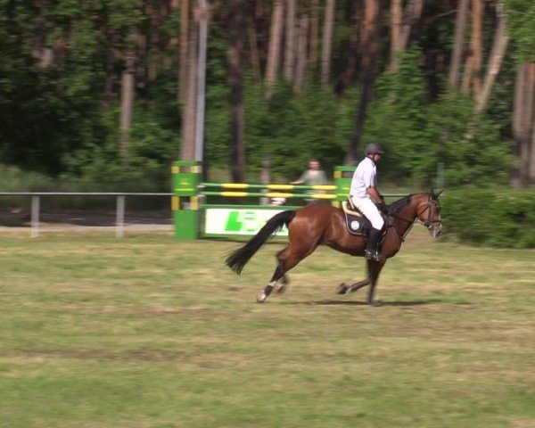 Reitturnier Kakerbeck 2024
