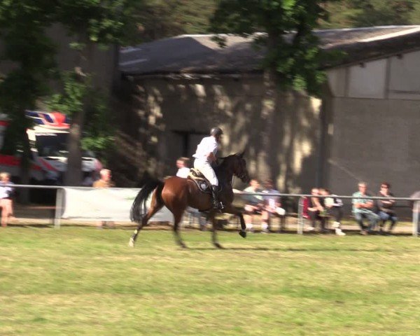 Reitturnier Kakerbeck 2024
