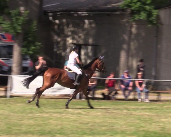 Reitturnier Kakerbeck 2024