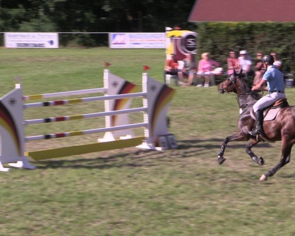 Reitturnier Königsborn 2024
