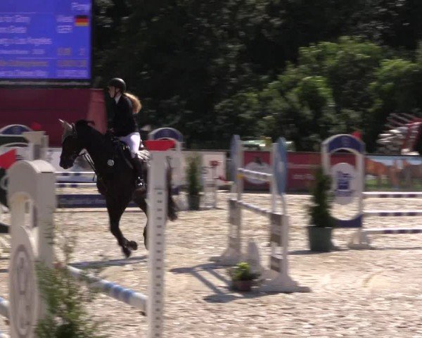 Reitturnier Everswinkel 2024