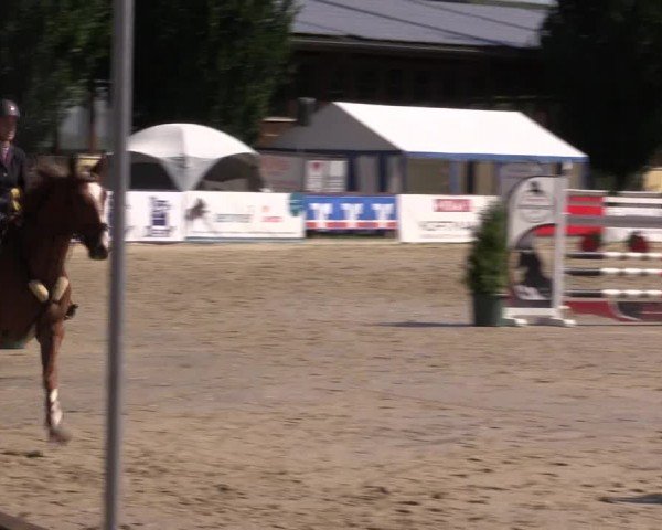 Reitturnier Everswinkel 2024