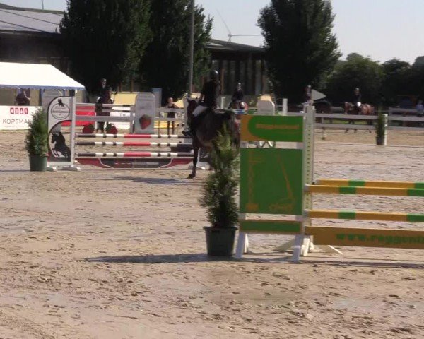 Reitturnier Everswinkel 2024