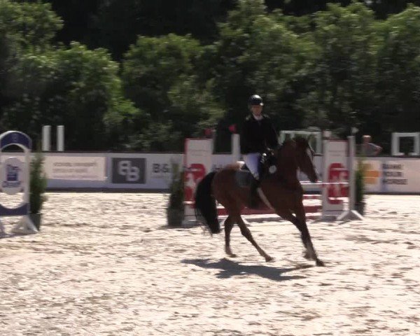 Reitturnier Everswinkel 2024