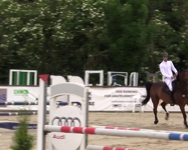 Reitturnier Everswinkel 2024