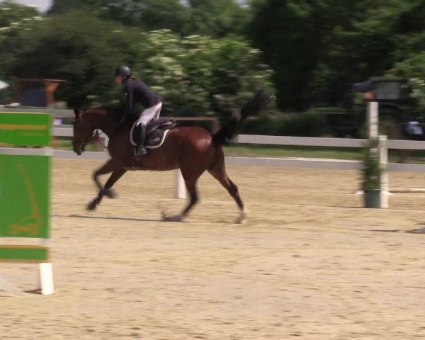 Reitturnier Everswinkel 2024