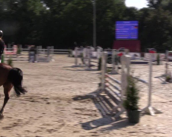Reitturnier Everswinkel 2024