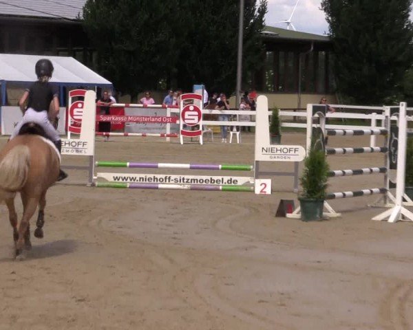 Reitturnier Everswinkel 2024