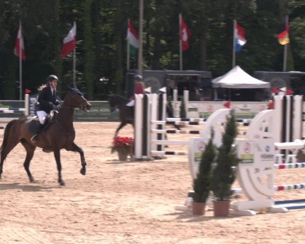 Reitturnier Ranshofen - Braunau am Inn 2024
