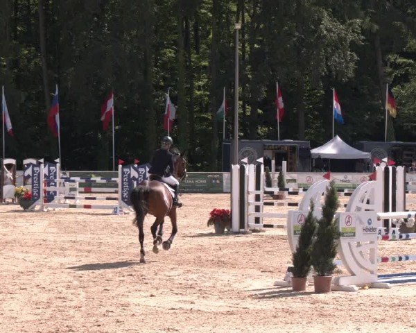 Reitturnier Ranshofen - Braunau am Inn 2024
