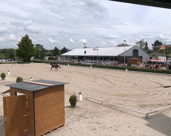 Reitturnier Bornheim-Widdig 2024