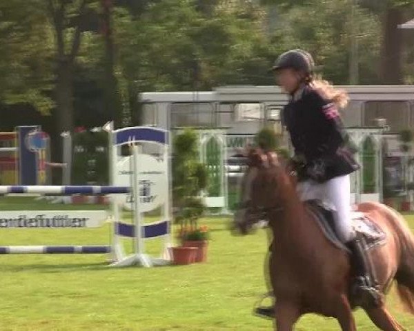 Westfalen-Woche 2012 Münster Handorf