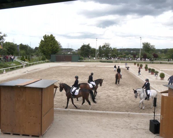 Reitturnier Bornheim-Widdig 2024