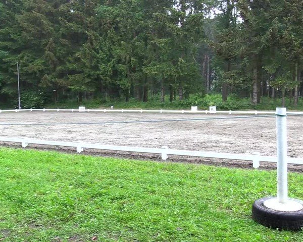 Reitturnier Kellinghusen  2024