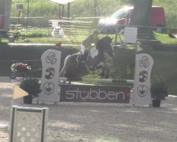 Reitturnier Meilen 2024