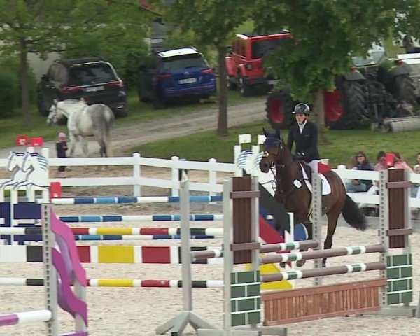 Reitturnier Gut Bohmerhof-Wackersberg/Obb. 2024