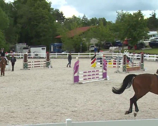 Reitturnier Gut Bohmerhof-Wackersberg/Obb. 2024
