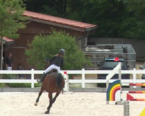 Reitturnier Gut Bohmerhof-Wackersberg/Obb. 2024