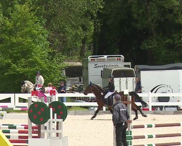 Reitturnier Gut Bohmerhof-Wackersberg/Obb. 2024