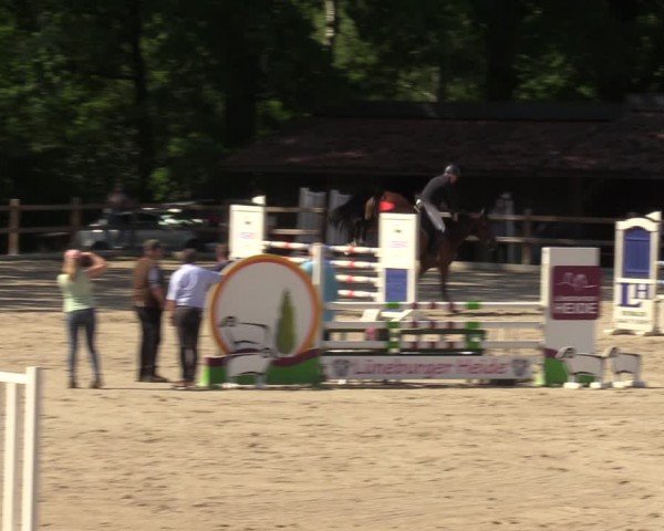 Reitturnier Alvern 2024